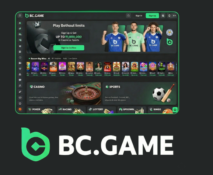 Understanding the BC.Game Mirror Login Process -375611619